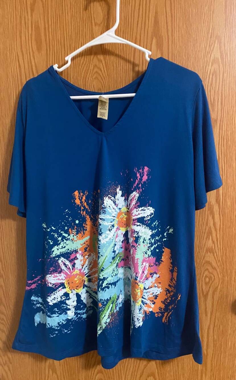 A Walk in the Park Tunic Size 2X Blue Daisy Floral Art To Wear Top